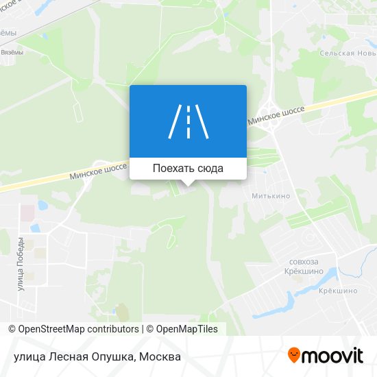 Карта улица Лесная Опушка