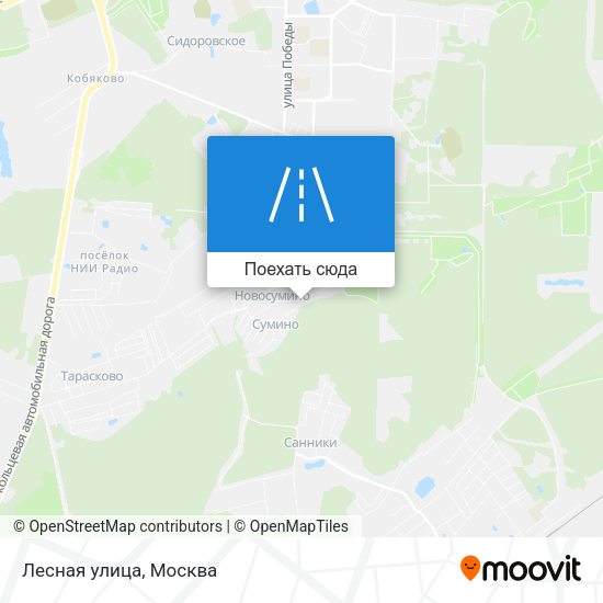 Карта Лесная улица