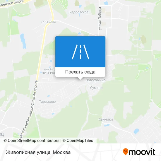 Карта Живописная улица