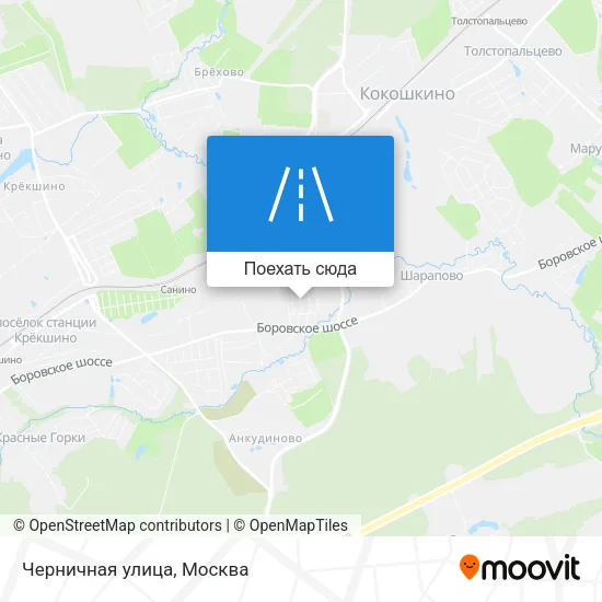 Карта Черничная улица