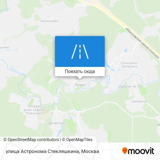 Карта улица Астронома Стекляшкина