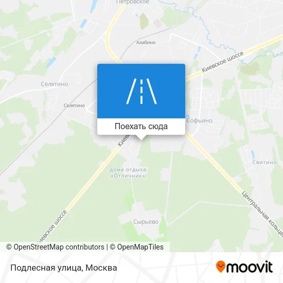 Карта Подлесная улица