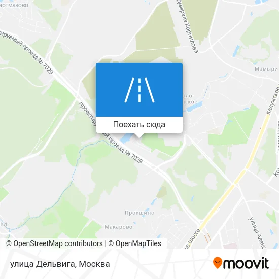 Карта улица Дельвига