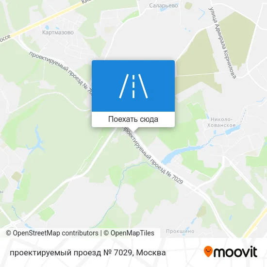 Карта проектируемый проезд № 7029