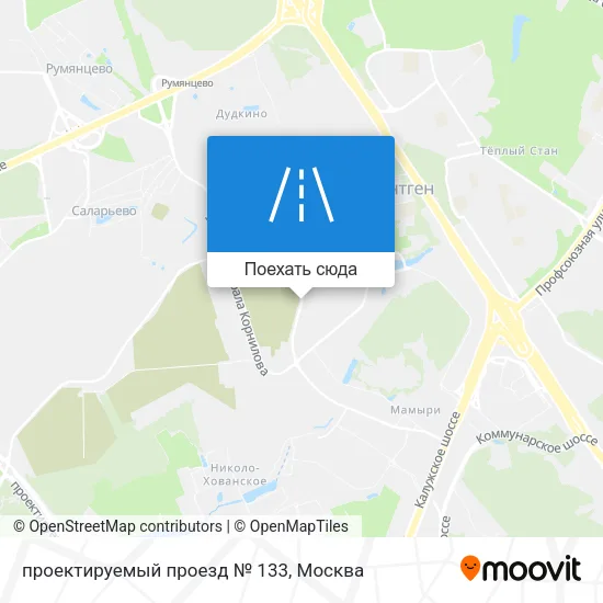 Карта проектируемый проезд № 133