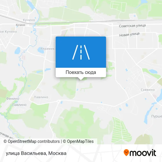 Карта улица Васильева