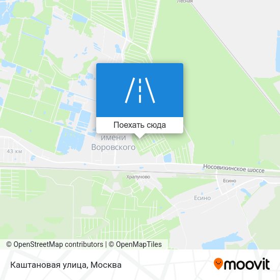 Карта Каштановая улица