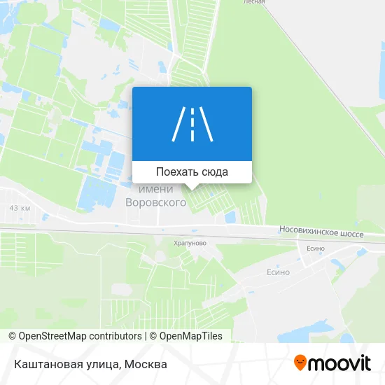 Карта Каштановая улица