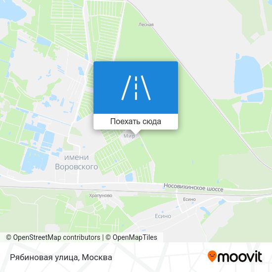 Карта Рябиновая улица