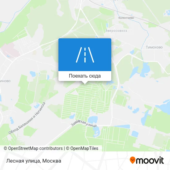 Карта Лесная улица