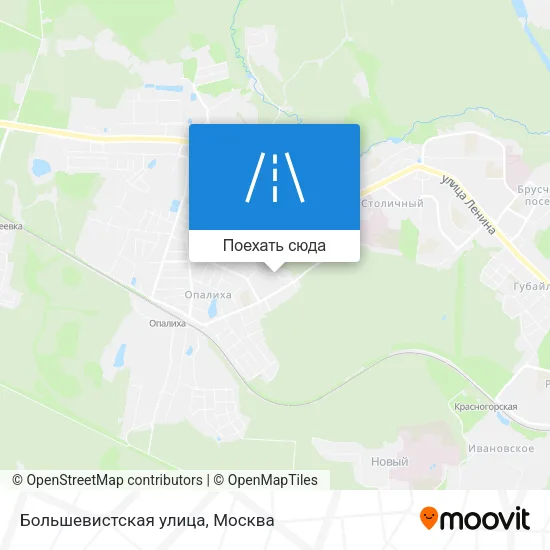 Карта Большевистская улица