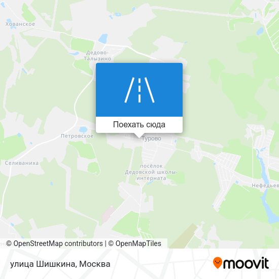 Карта улица Шишкина
