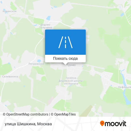 Карта улица Шишкина
