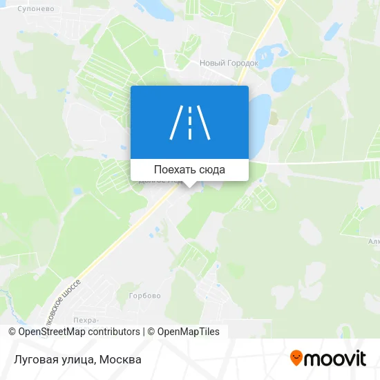 Карта Луговая улица