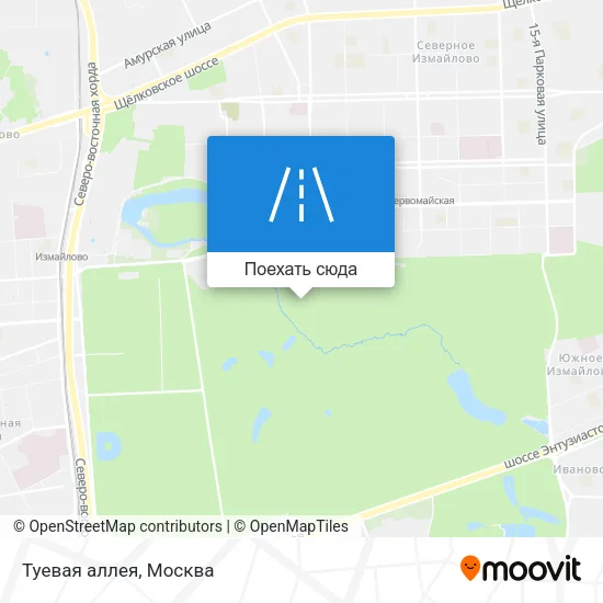 Карта Туевая аллея