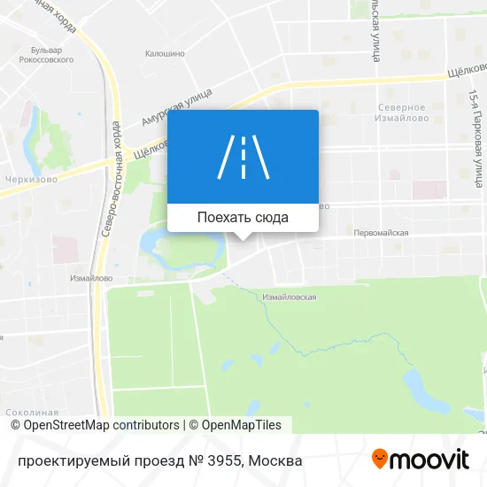 Карта проектируемый проезд № 3955