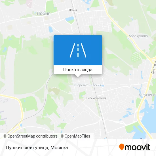 Карта Пушкинская улица