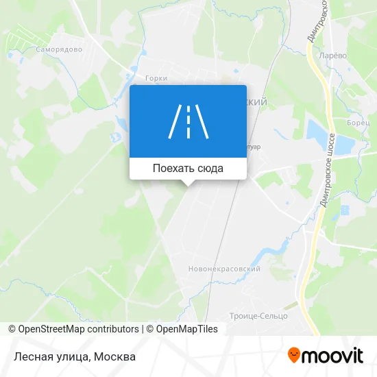 Карта Лесная улица