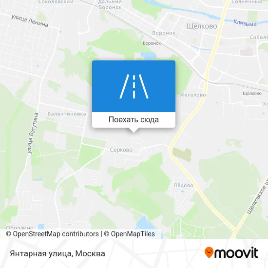 Карта Янтарная улица
