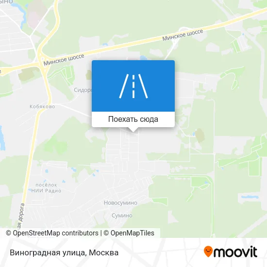 Карта Виноградная улица