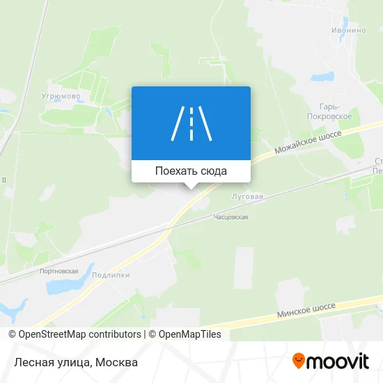 Карта Лесная улица