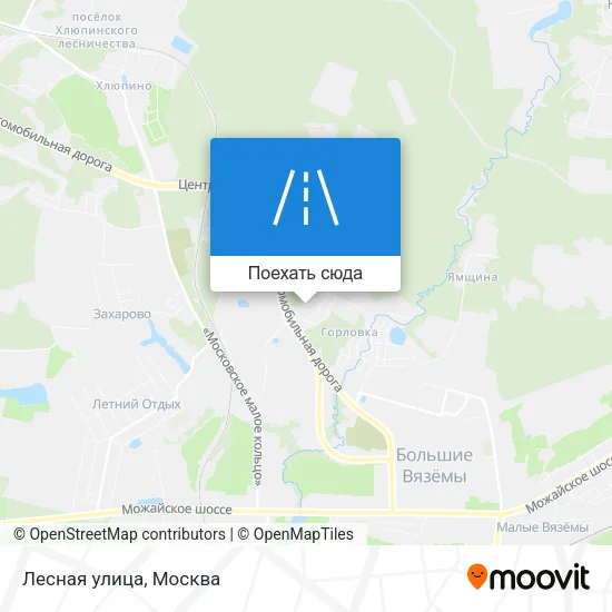 Карта Лесная улица
