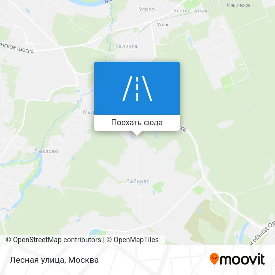 Карта Лесная улица