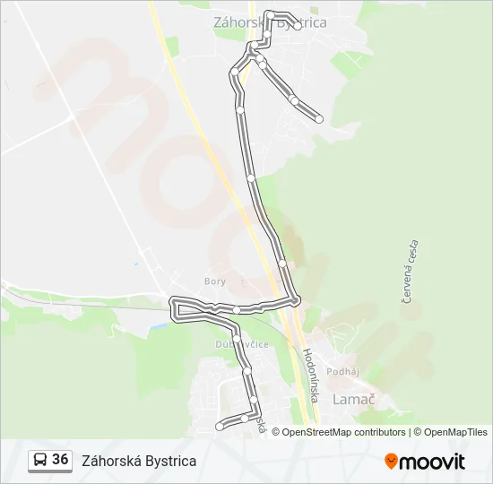 36 Bus Line Map