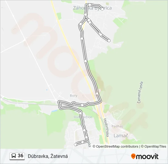 36 Bus Line Map