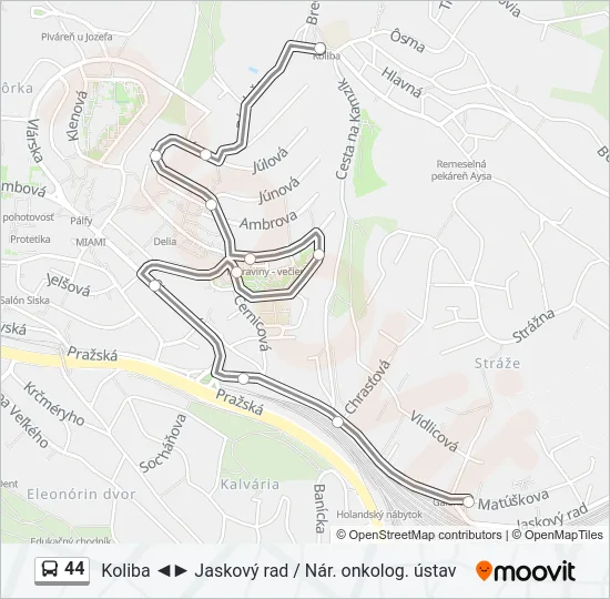 44 Bus Line Map