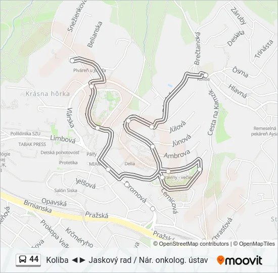 44 Bus Line Map