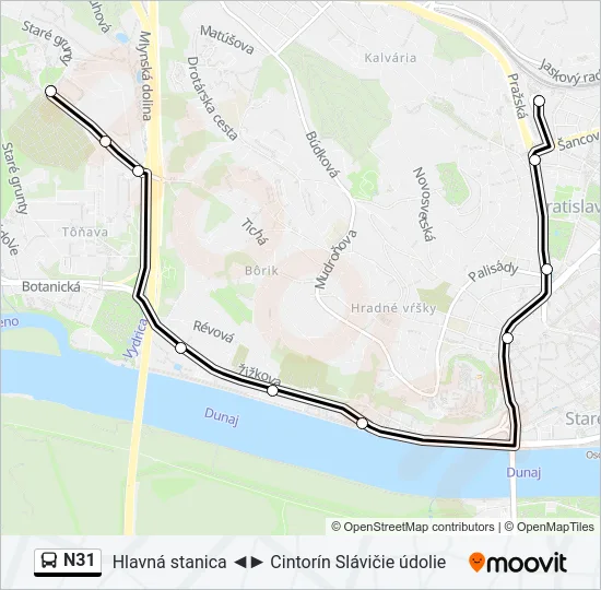 N31 Bus Line Map