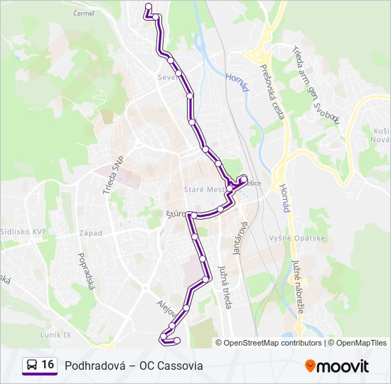 16 bus Line Map