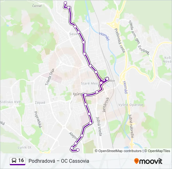 16 Bus Line Map