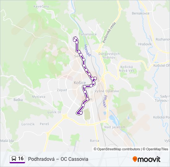 16 bus Line Map