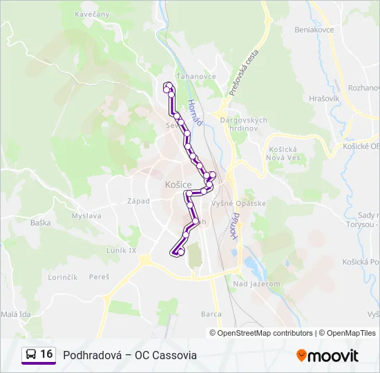16 Bus Line Map
