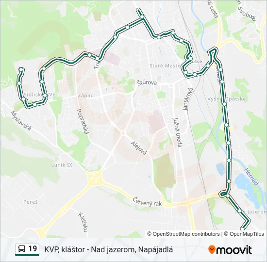 19 Bus Line Map