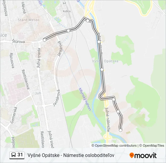 31 Bus Line Map