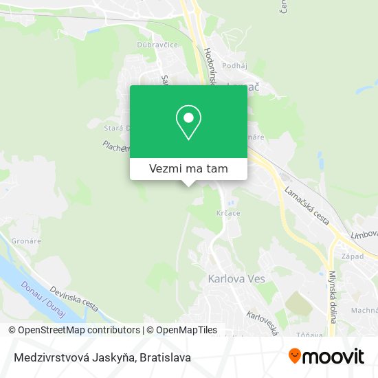 Medzivrstvová Jaskyňa mapa