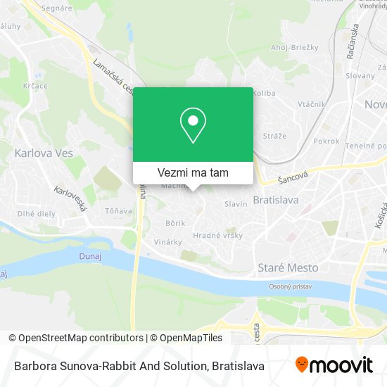 Barbora Sunova-Rabbit And Solution mapa