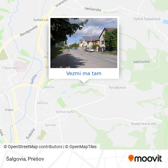 Šalgovia mapa