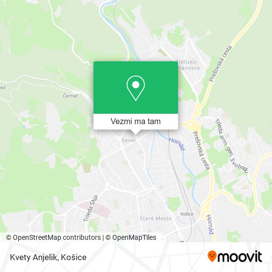 Kvety Anjelik mapa