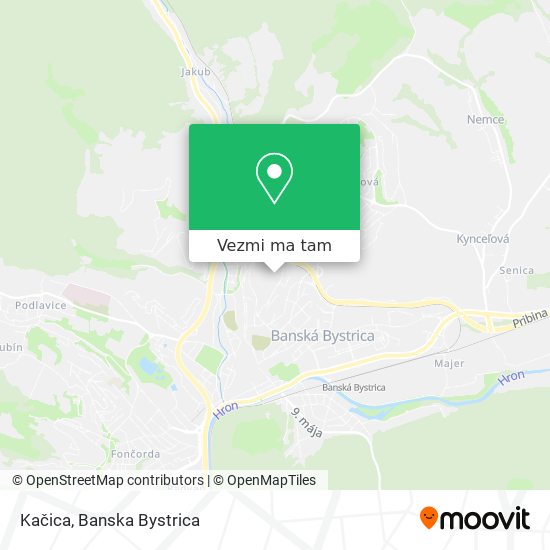 Kačica mapa