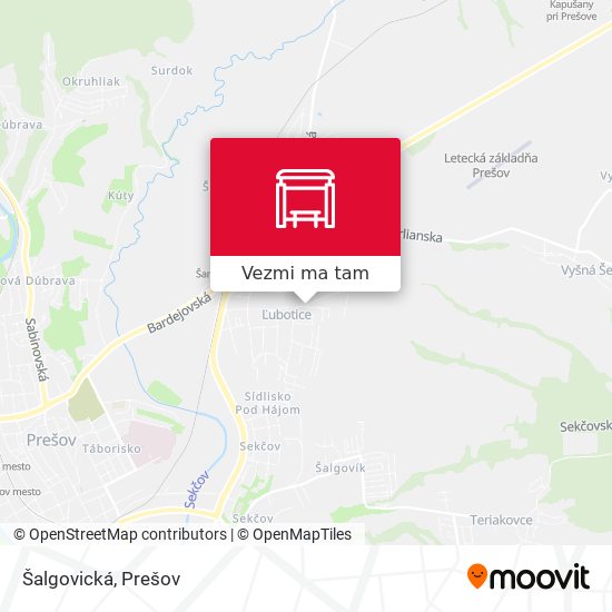 Šalgovická mapa