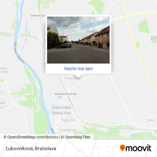 Ľubovníková mapa