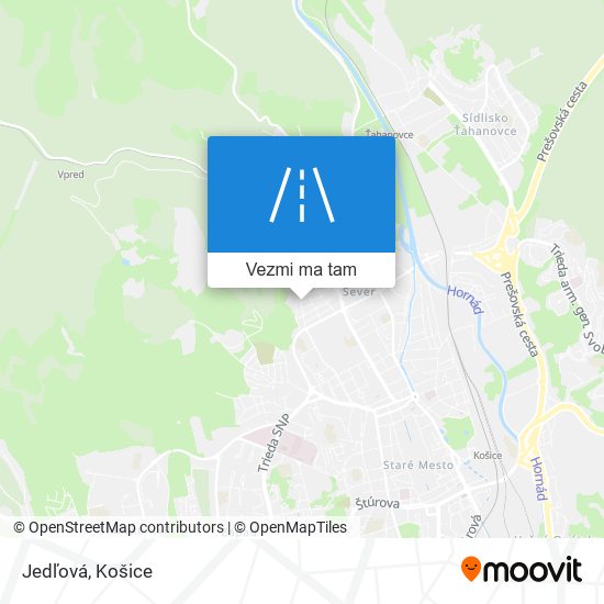 Jedľová mapa