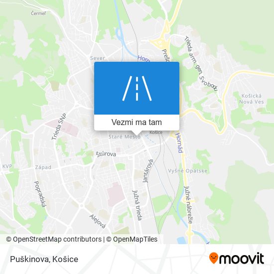 Puškinova mapa