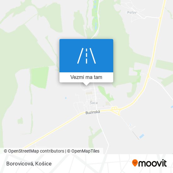 Borovicová mapa