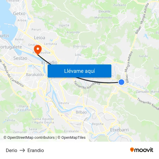 Derio to Erandio map