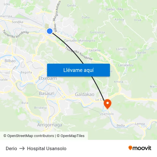 Derio to Hospital Usansolo map